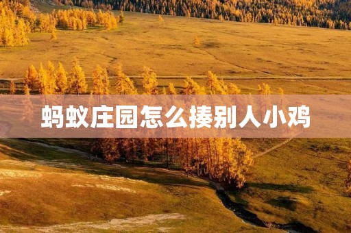 蚂蚁庄园怎么揍别人小鸡:详解