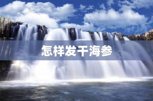 怎样发干海参