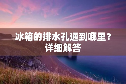 冰箱的排水孔通到哪里？详细解答