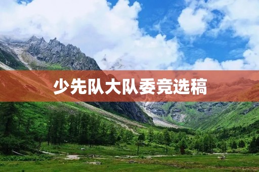 少先队大队委竞选稿:我愿意为队伍做出贡献