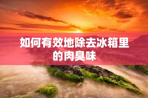 如何有效地除去冰箱里的肉臭味