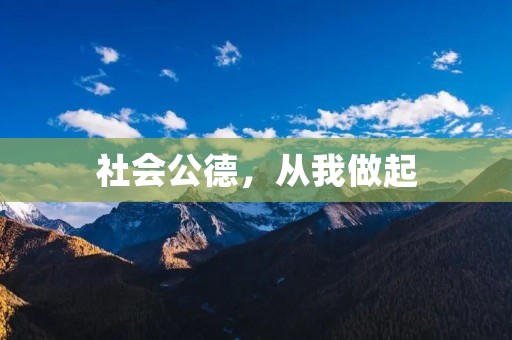 社会公德,从我做起