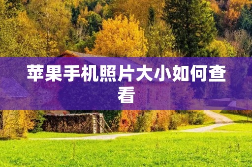 苹果手机照片大小如何查看