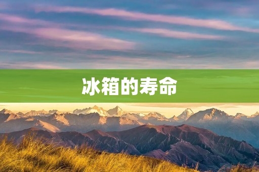 冰箱的寿命：如何延长冰箱的使用寿命