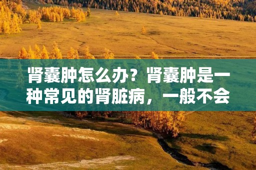 肾囊肿怎么办?肾囊肿是一种常见的肾脏病,一般不会引起太大的问题,但如果囊肿较大或数量较多,就需要进行治疗。本文将为您介绍肾囊肿的治疗方法。 肾囊肿怎么办?肾囊肿是一种常见的肾脏病,一般不会引起太大的问题,但如果囊肿较大或数量较多,就需要进行治疗。本文将为您介绍肾囊肿的治疗方法。