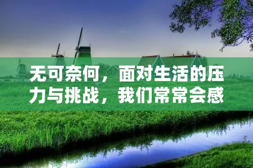 无可奈何，面对生活的压力与挑战，我们常常会感到无从下手。但是，这并不意味着我们要放弃，相反，我们应该积极面对，寻找解决问题的方法。