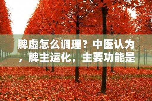 脾虚怎么调理?中医认为,脾主运化,主要功能是将食物消化吸收后转化为气血精神等物质,然后输布全身。如果脾功能失调,就会导致脾虚,出现食欲不振、腹泻、疲乏无力、面色萎黄等症状。那么,脾虚怎么调理呢? 脾虚怎么调理?中医认为,脾主运化,主要功能是将食物消化吸收后转化为气血精神等物质,然后输布全身。如果脾功能失调,就会导致脾虚,出现食欲不振、腹泻、疲乏无力、面色萎黄等症状。那么,脾虚怎么调理呢?