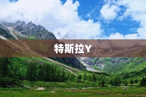 特斯拉Y:未来的电动SUV 特斯拉Y:未来的电动SUV