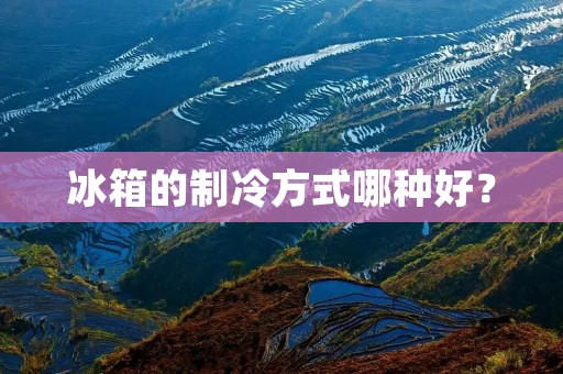冰箱的制冷方式哪种好？