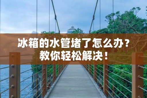 冰箱的水管堵了怎么办？教你轻松解决！