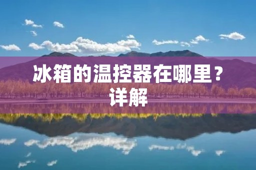 冰箱的温控器在哪里？详解