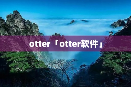 otter「otter软件」