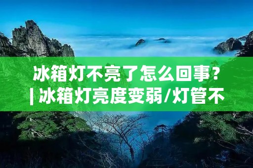 冰箱灯不亮了怎么回事？| 冰箱灯亮度变弱/灯管不亮/灯泡烧坏的原因及解决方法