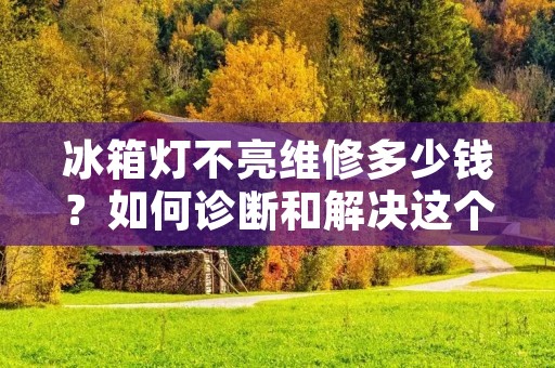 冰箱灯不亮维修多少钱？如何诊断和解决这个问题？