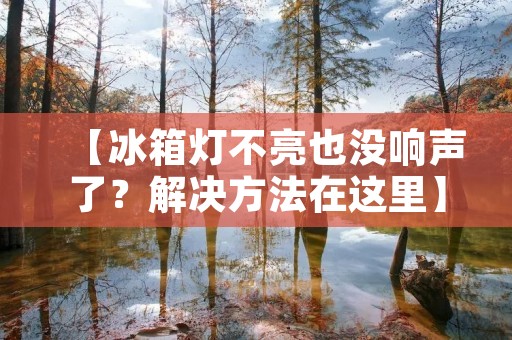【冰箱灯不亮也没响声了？解决方法在这里】