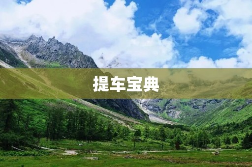 提车宝典：如何顺利提车
