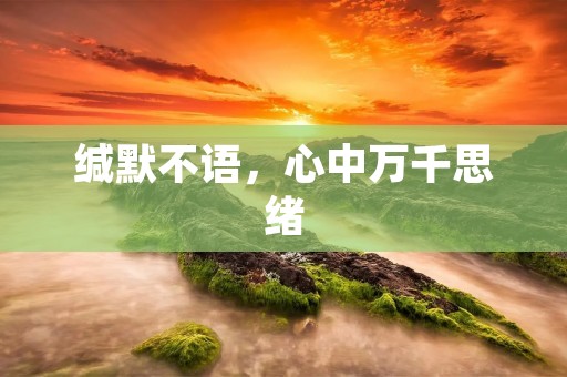 缄默不语，心中万千思绪