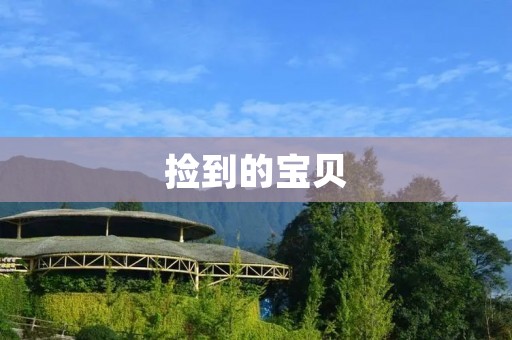 捡到的宝贝：无价的意外之财
