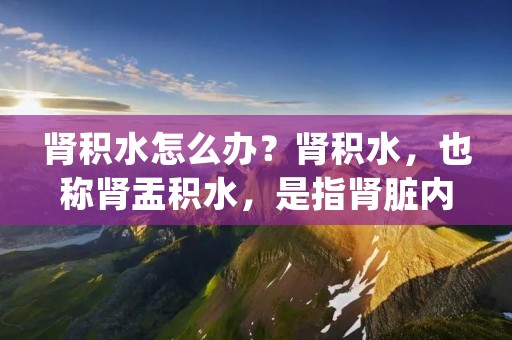 肾积水怎么办？肾积水，也称肾盂积水，是指肾脏内部排尿通道受到阻塞，尿液无**常流出，导致肾脏内积聚大量尿液，引起肾脏扩大、功能障碍等症状。肾积水早期症状不明显，但若不及时治疗，会导致肾脏功能不全，甚至危及生命。那么，肾积水怎么办？本文将为您详细解答。