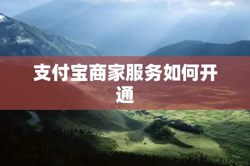 支付宝商家服务如何开通