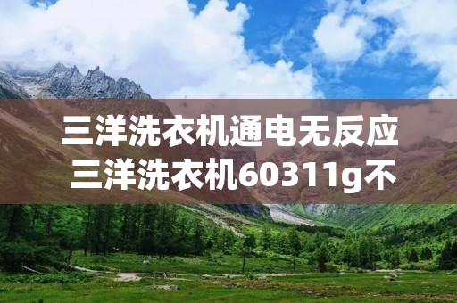 三洋洗衣机通电无反应 三洋洗衣机60311g不通电 三洋洗衣机通电无反应 三洋洗衣机60311g不通电