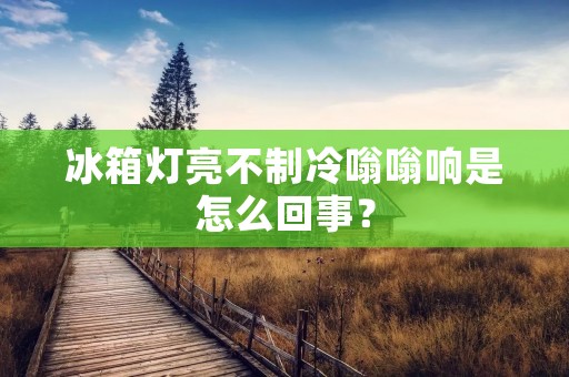 冰箱灯亮不制冷嗡嗡响是怎么回事？