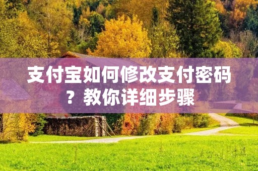 支付宝如何修改支付密码?教你详细步骤