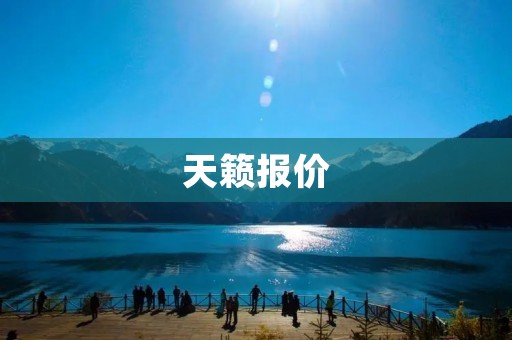 天籁报价:让你的出行更具性价比 天籁报价:让你的出行更具性价比