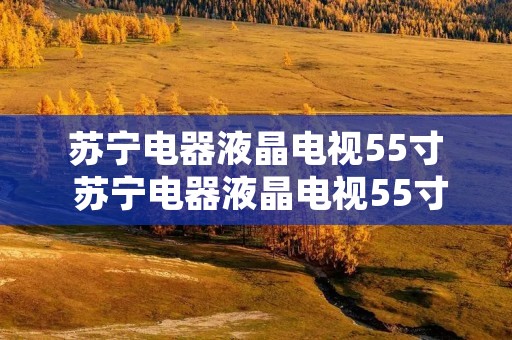 苏宁电器液晶电视55寸 苏宁电器液晶电视55寸价格 苏宁电器液晶电视55寸 苏宁电器液晶电视55寸价格