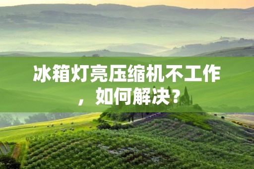 冰箱灯亮压缩机不工作，如何解决？