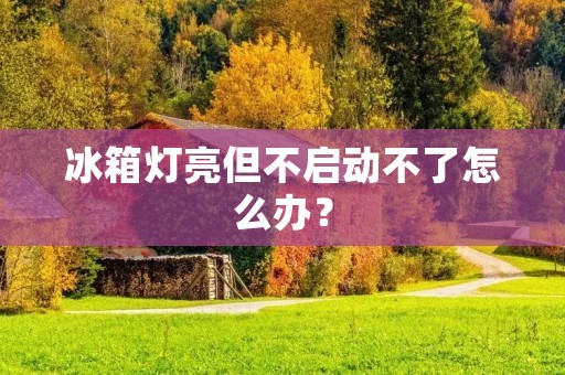 冰箱灯亮但不启动不了怎么办? 冰箱灯亮但不启动不了怎么办?
