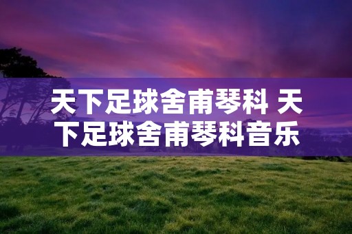 天下足球舍甫琴科 天下足球舍甫琴科音乐
