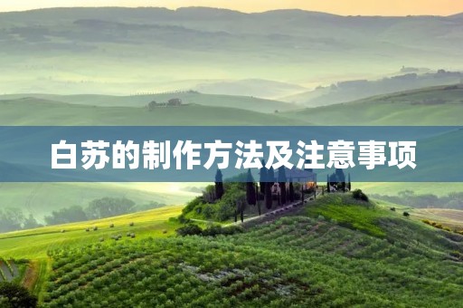 白苏的制作方法及注意事项 白苏的制作方法及注意事项