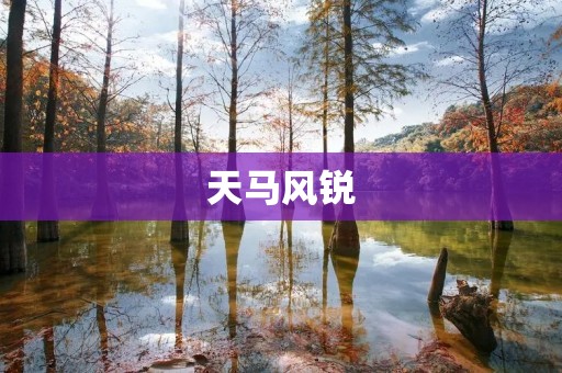 天马风锐:一款独具匠心的电动自行车 天马风锐:一款独具匠心的电动自行车