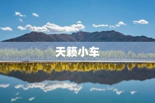 天籁小车:打造智能出行新时代 天籁小车:打造智能出行新时代