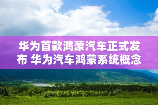 华为首款鸿蒙汽车正式发布 华为汽车鸿蒙系统概念股 华为首款鸿蒙汽车正式发布 华为汽车鸿蒙系统概念股