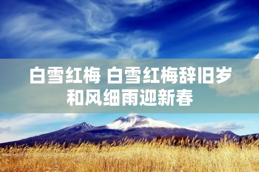 白雪红梅 白雪红梅辞旧岁和风细雨迎新春 白雪红梅 白雪红梅辞旧岁和风细雨迎新春