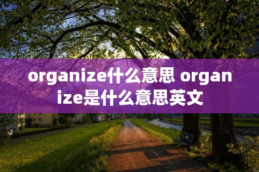 organize什么意思 organize是什么意思英文