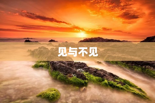 见与不见：互联网时代的交往方式