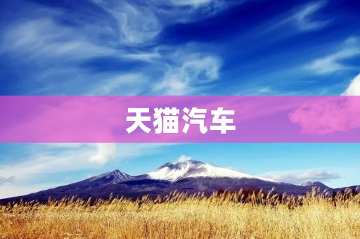 天猫汽车:打造新型汽车购物体验 天猫汽车:打造新型汽车购物体验