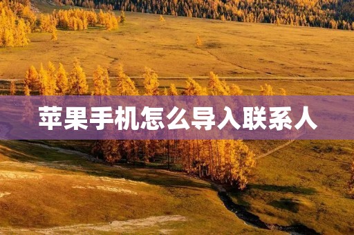 苹果手机怎么导入联系人