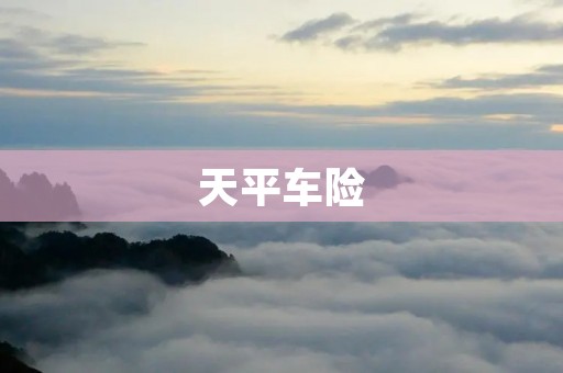 天平车险：让保险更简单