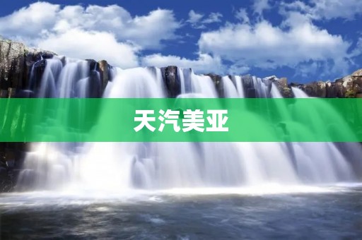 天汽美亚：中国汽车产业的领军企业