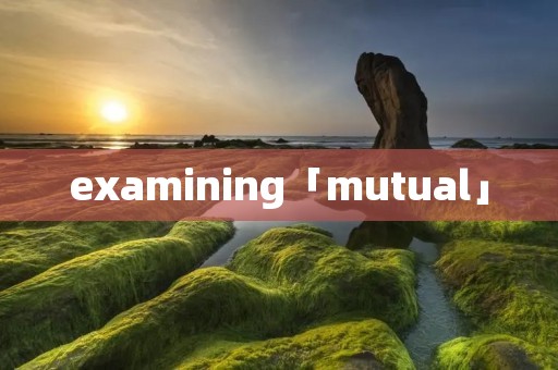 examining「mutual」