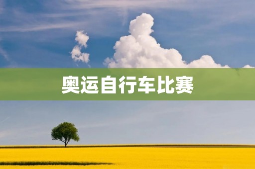 奥运自行车比赛：速度与技巧的完美结合