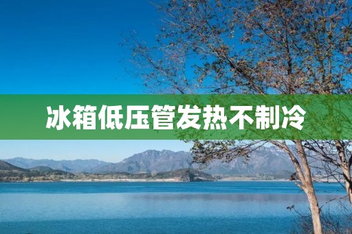 冰箱低压管发热不制冷：原因及解决方法