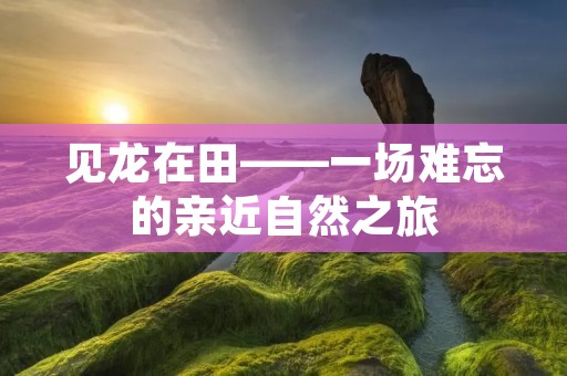 见龙在田——一场难忘的亲近自然之旅 见龙在田——一场难忘的亲近自然之旅