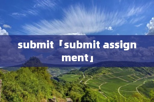 submit「submit assignment」