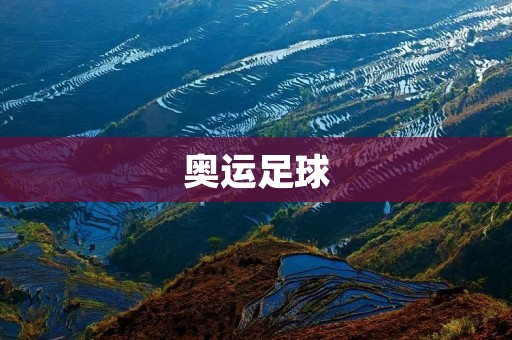 奥运足球：球场上的荣耀与梦想