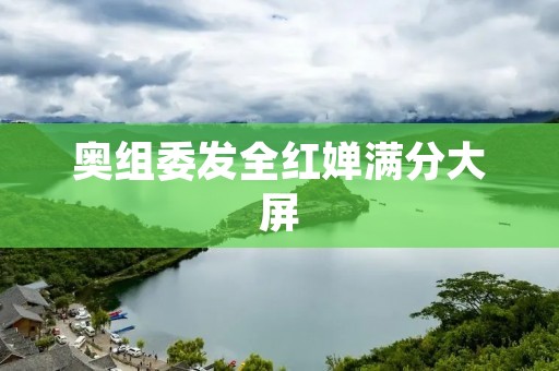 奥组委发全红婵满分大屏：为奥运会注入强大的视觉力量